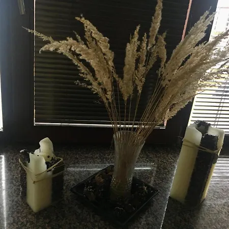 Ela Centre Apartman *